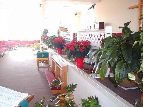 Pulpit decorated for Christmas